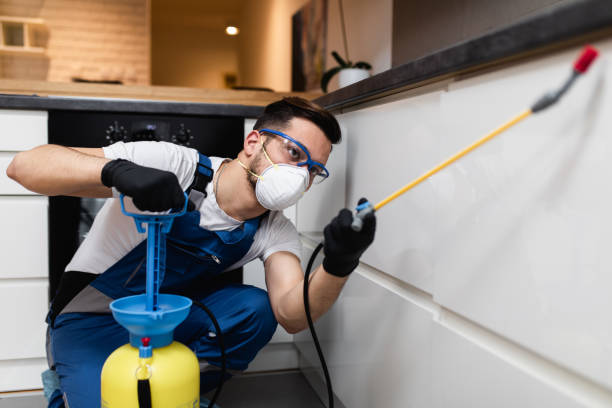 Best Pest Control Near Me  in Ridgefield Park, NJ