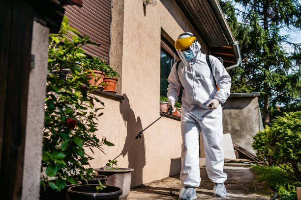 Best Pest Control for Businesses  in Ridgefield Park, NJ