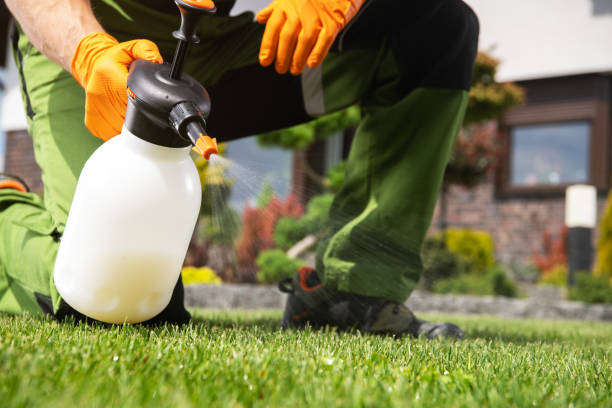 Best Pest Control Cost  in Ridgefield Park, NJ