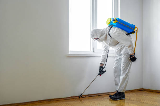 Professional Pest Control in Ridgefield Park, NJ