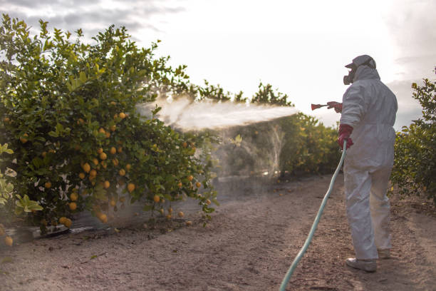 Best Best Pest Control Companies  in Ridgefield Park, NJ