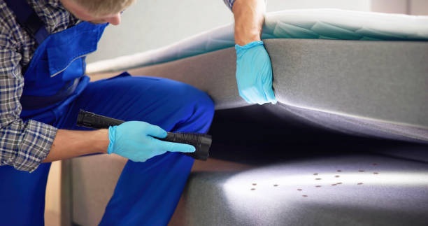 Best Pest Prevention Services  in Ridgefield Park, NJ