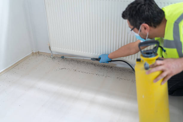 Best Wasp Removal Services  in Ridgefield Park, NJ