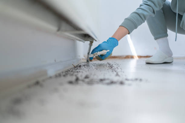 Best Commercial Pest Control Services  in Ridgefield Park, NJ